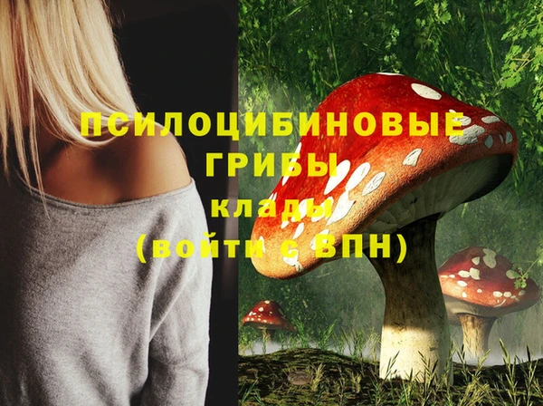круглые Алексин