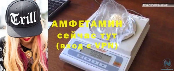 винт Алзамай