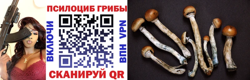 нарко площадка клад  Оленегорск  Псилоцибиновые грибы Magic Shrooms  продажа наркотиков 